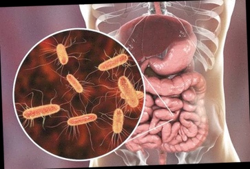Achat anti parasite medication