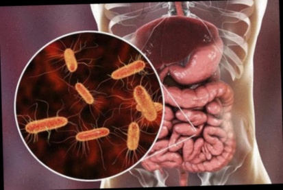 Achat anti parasite medicine
