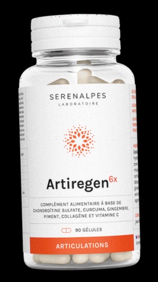 Achat Artiregen 6x