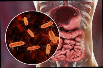 Achat antiparasitic fluvermal